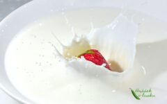 Kalorické tabulky: Mléčné výrobky