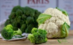 Kalorické tabulky: Zelenina